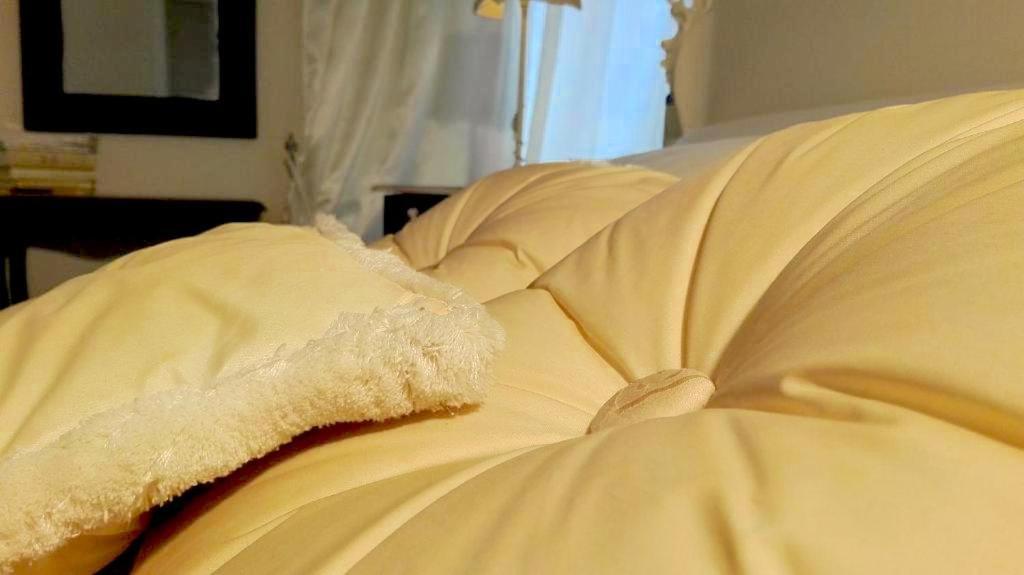 B&B Di Camilla Pisa Ngoại thất bức ảnh